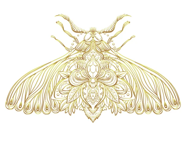 Gold and white decorative vector illustration of moth isolated o — Stock Vector