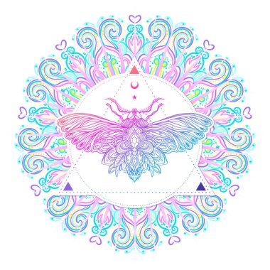 Mandala güve. Güzel vintage yuvarlak desen. Vektör illus