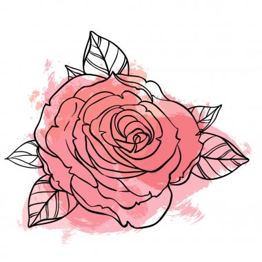 Güzel gül buketi bej grunge arka plan üzerinde çizim. El