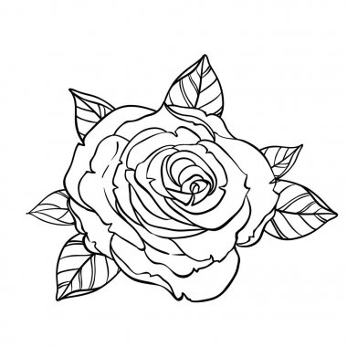 Siyah ve beyaz dövme stil gül yaprakları üzerinde beyaz izole ile