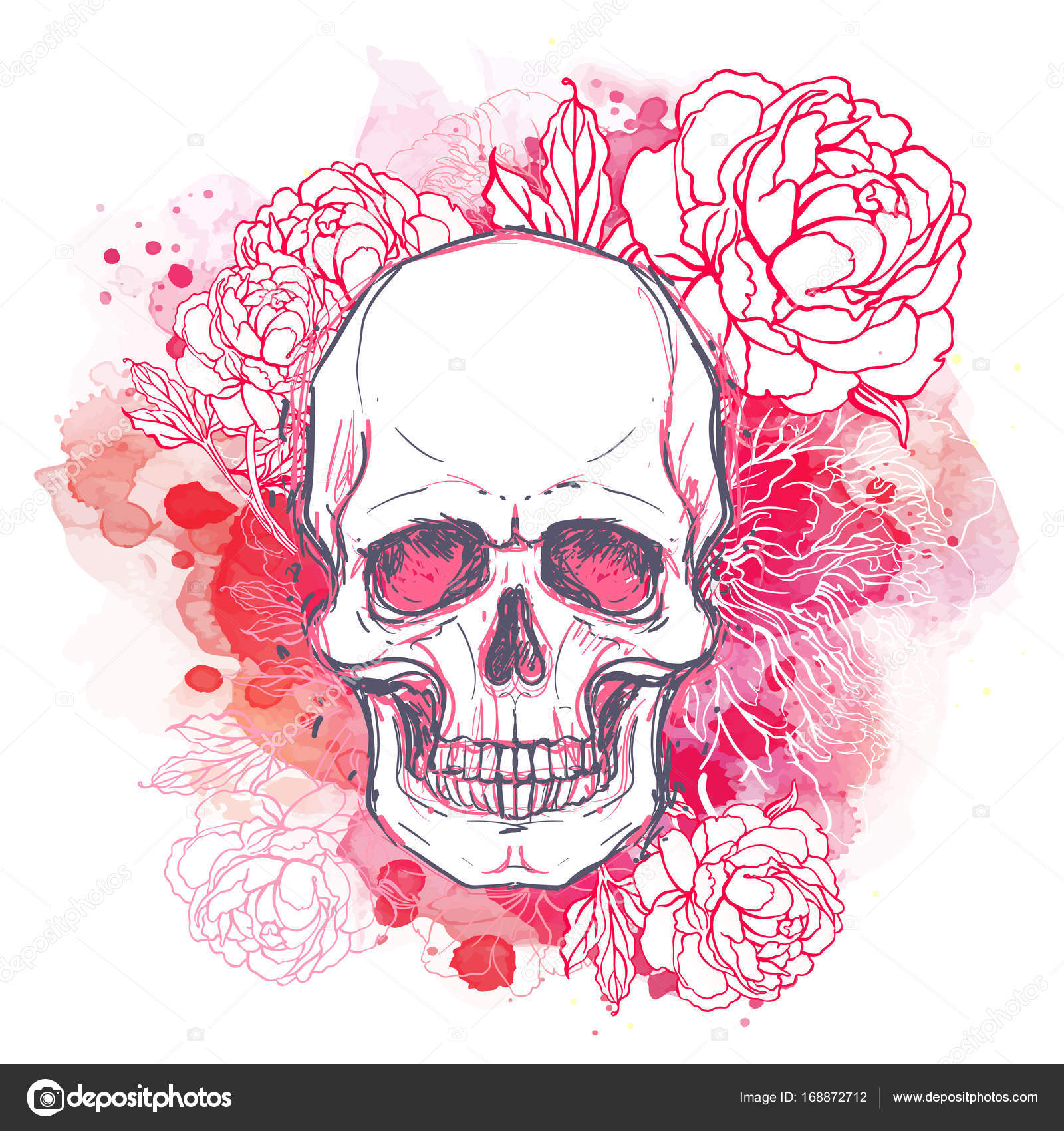 Human skull with flowers ⬇ Vector Image by © vgorbash ...