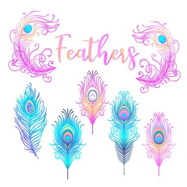 Tavus kuşu tüyü seti 