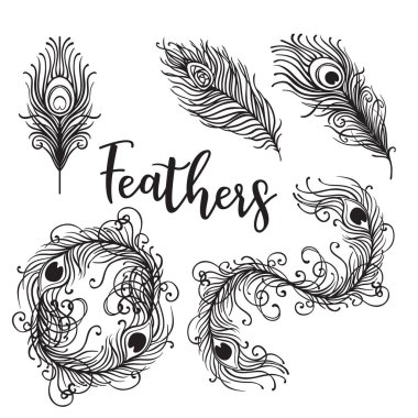 Tavus kuşu tüyü seti 