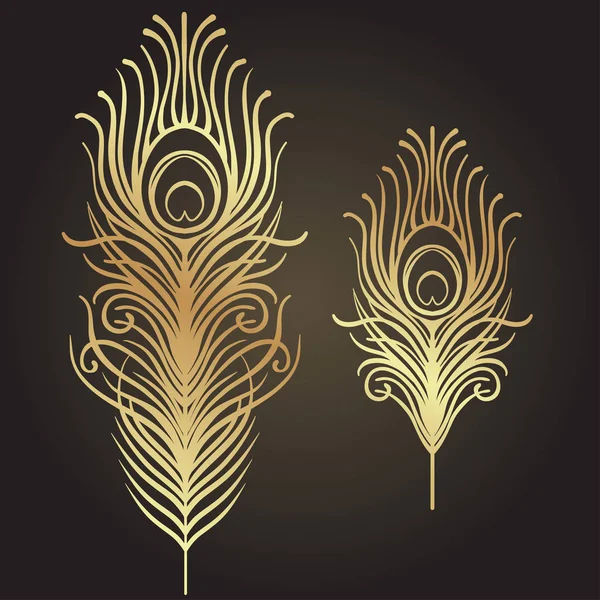 Set of two isolated feathers — Stock Vector