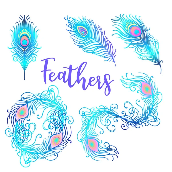 Peacock feather set — Stock Vector