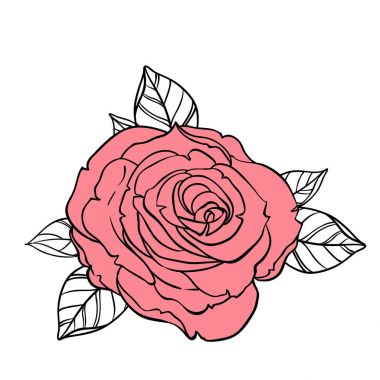 Güzel gül çizim
