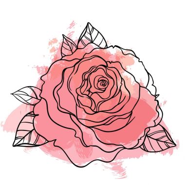 Güzel gül çizim