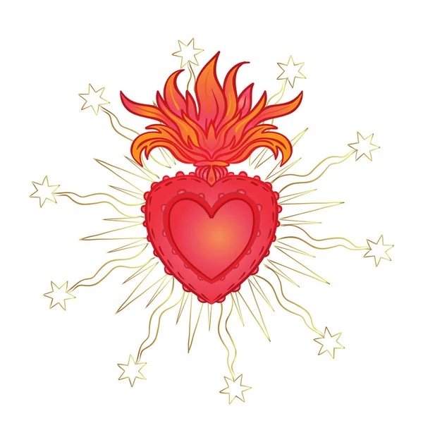 Heart x ray Images Search Images on Everypixel