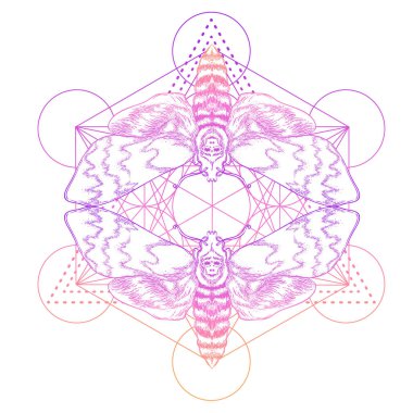 Güve mandala üstünde. Güzel klasik yuvarlak desen. Vektör çizimi. Psikedelik neon bileşimi. Hint, Budizm, Ruhani Dövme, yoga, maneviyat.