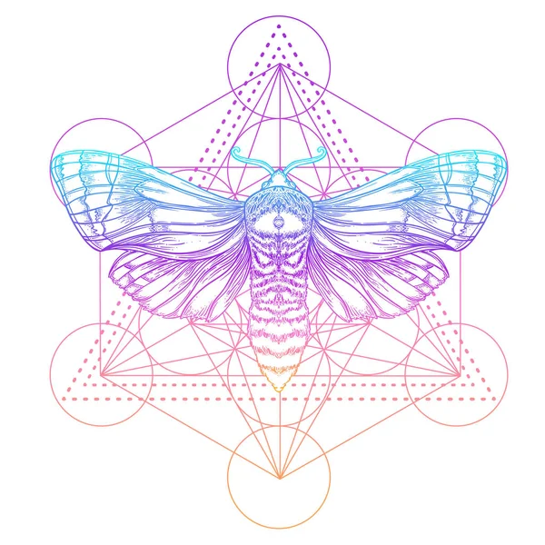 Moth over mandala. Beautiful vintage round pattern. Vector illustration. Psychedelic neon composition. Indian, Buddhism, Spiritual Tattoo, yoga, spirituality. — Stock Vector