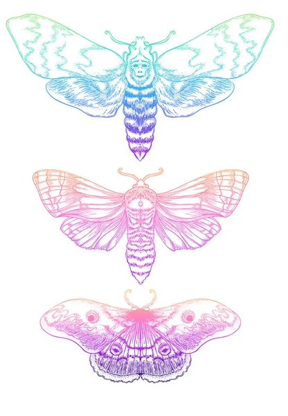Gradient Moth Set. Beautiful vintage vector illustration. Psychedelic neon composition. Indian, Buddhism, Spiritual Tattoo, yoga, spirituality. — Stock Vector