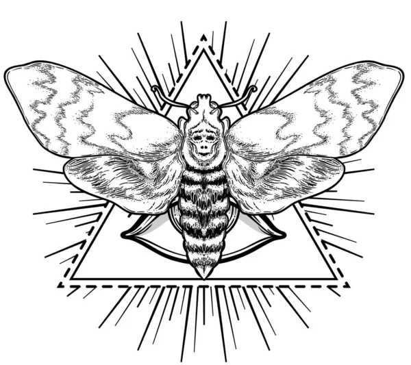 Falena in bianco e nero sul segno della geometria sacra, illustrazione vettoriale isolata. Flash del tatuaggio. Simboli mistici e insetti. Alchimia, occultismo, spiritualità, libro da colorare. — Vettoriale Stock