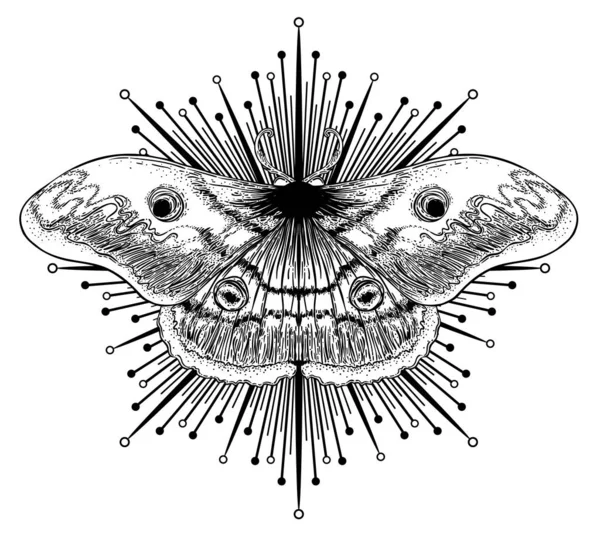 黑蛾和白蛾在神圣的几何符号上方,孤立的矢量图解.纹身闪光。神秘的符号和昆虫炼金术，隐修术，灵修，着色书籍. — 图库矢量图片