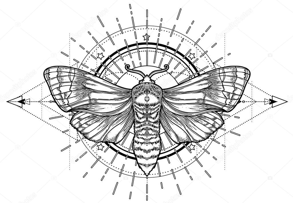 Black and white moth over sacred geometry sign, isolated vector illustration. Tattoo flash. Mystical symbols and insects. Alchemy, occultism, spirituality, coloring book.