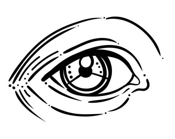 Ilustración vectorial del ojo humano en estilo grabado. Dibujo a mano atrwork en negro aislado — Archivo Imágenes Vectoriales