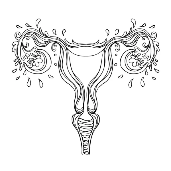 Dibujo decorativo del sistema reproductivo femenino con flores. Útero dibujado a mano, útero. Poder femenino, feminismo. Ilustración vectorial aislada en blanco . — Vector de stock