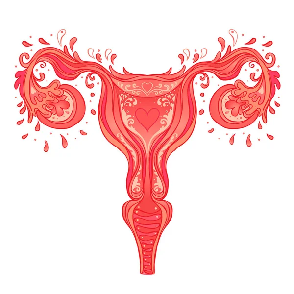 Dibujo decorativo del sistema reproductivo femenino con flores. Útero dibujado a mano, útero. Poder femenino, feminismo. Ilustración vectorial aislada en blanco . — Vector de stock