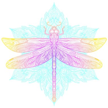 Kutsal geometri işareti üzerinde yusufçuk sineği, izole vektör çizimi. Dövme taslağı. Mistik semboller ve böcekler. Simya, okültizm, maneviyat, boyama kitabı.