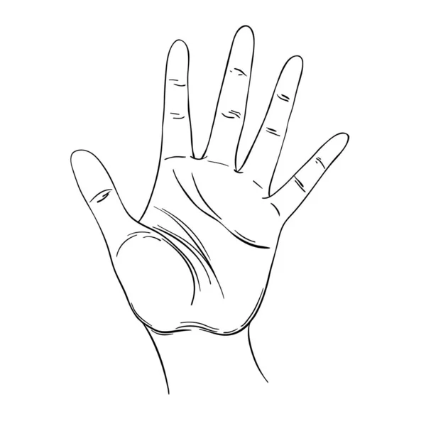 Ανοιχτό χέρι. Ανθρώπινη παλάμη. Χειροποίητη απεικόνιση. Εικονογράφηση φορέα Παλμιστρία. Μελάνι στυλ τατουάζ σχεδιασμός flash. Διάνυσμα απομονωμένο σε λευκό. — Διανυσματικό Αρχείο