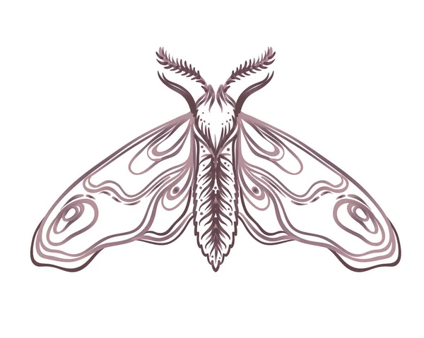 Black and white decorative vector illustration of moth isolated on white. Tattoo design. Coloring book for adults. Nature, spirituality, magic concept. — Stock Vector