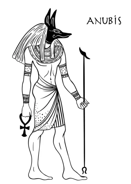 Anubis. in het oude Egyptisch, god van de dood, mummificatie, balsemen, het hiernamaals, begraafplaatsen, graven en de onderwereld. Vector isoleerde illustratie. Een man met het hoofd van een jakhals of wolf. — Stockvector