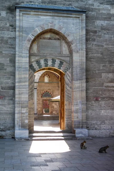 Portal of the mosque with two cats nearby, Istanbul