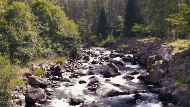 Fiume di montagna in un paesaggio selvaggio — Video Stock