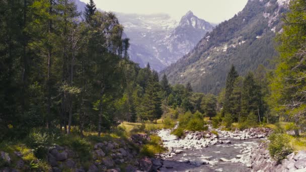 Mountain river in a wild landscape — Stock Video