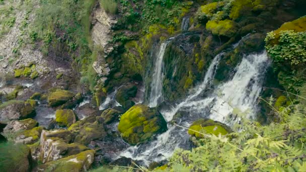 森林岩石和瀑布 — 图库视频影像