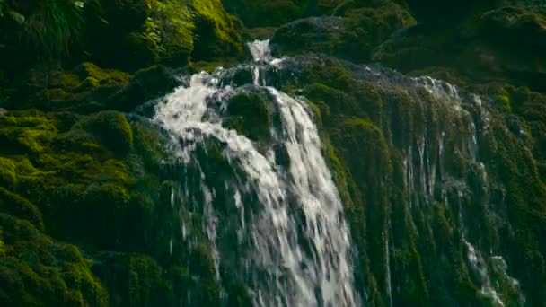 cascade dans la jungle