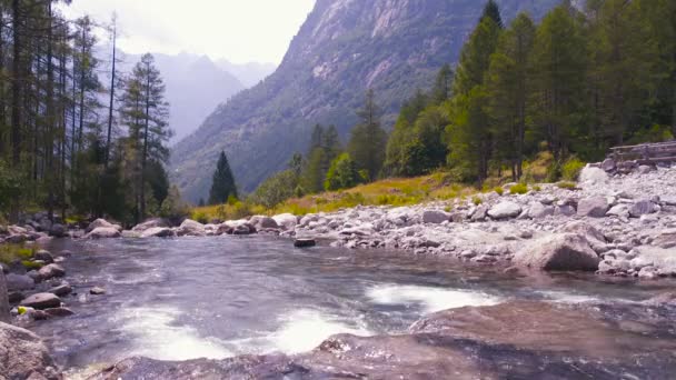 河流在山间奔流 — 图库视频影像