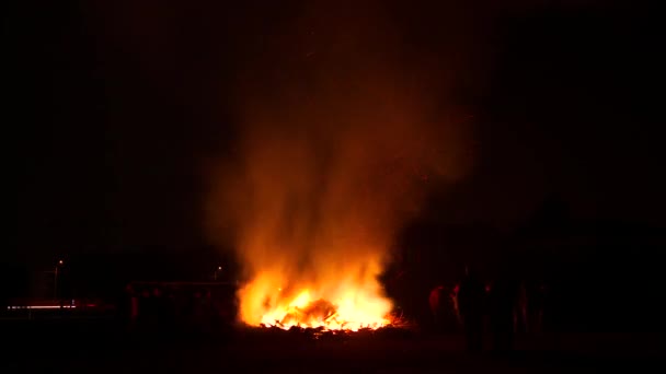 人们凝视着篝火 — 图库视频影像