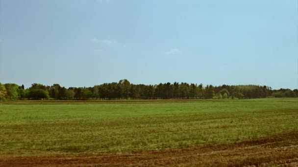 Flying Over Fields in a Sunny Day — Stock video