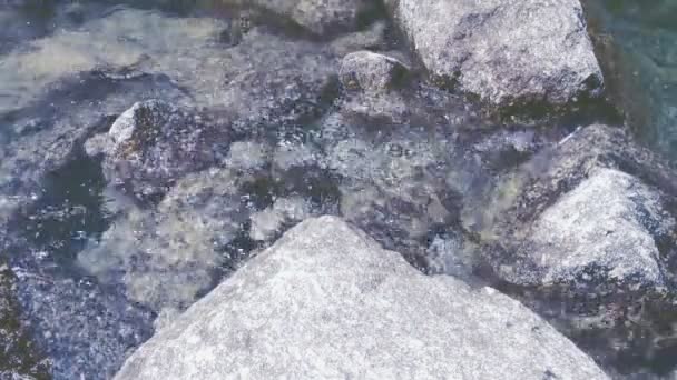 水溪 — 图库视频影像
