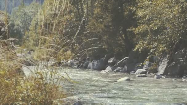 Mountain River dans une journée ensoleillée — Video