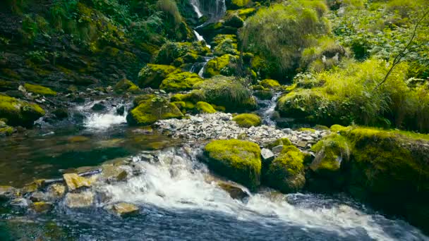 Cascade secrète — Video