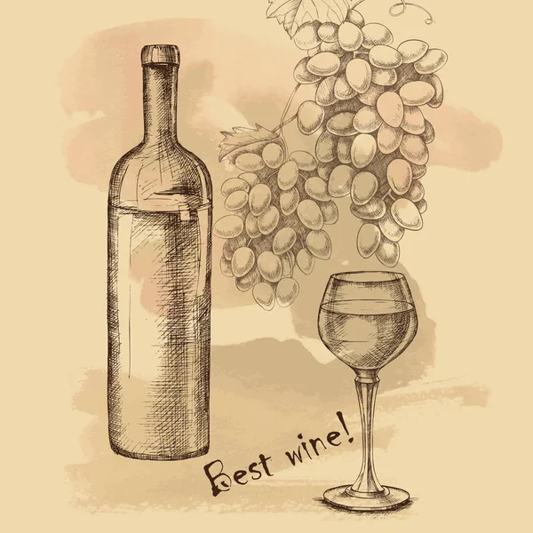 Vektör çizimi üzüm, şarap için tasarım — Stok Vektör