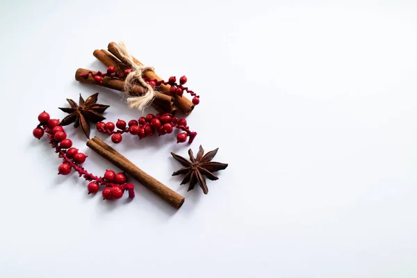 Ornamentos de inverno. Canela, anis e visco sobre fundo branco com espaço de cópia . — Fotografia de Stock