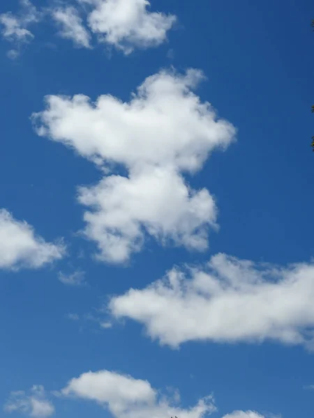 Puffy Clouds In The Blue Sky Background