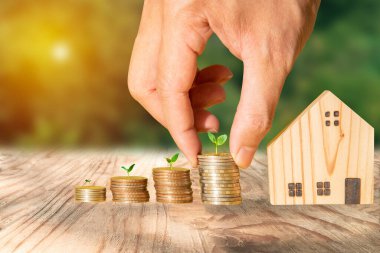 Biriktirmek ve yatırım yapmak, bir ev almak için madeni paraların üzerinde ekin yetiştirmek. Mali ve yatırım kavramları.