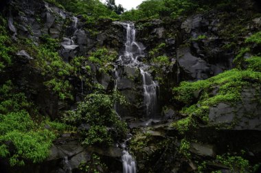 Pune India yakınlarındaki Tamhini 'de muson manzarası. Muson Haziran 'dan Eylül' e kadar Hindistan 'da yıllık yağmur mevsimidir..