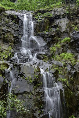 Pune India yakınlarındaki Tamhini 'de muson manzarası. Muson Haziran 'dan Eylül' e kadar Hindistan 'da yıllık yağmur mevsimidir..