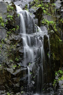 Pune India yakınlarındaki Tamhini 'de muson manzarası. Muson Haziran 'dan Eylül' e kadar Hindistan 'da yıllık yağmur mevsimidir..