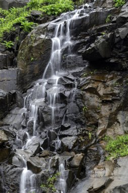 Pune India yakınlarındaki Tamhini 'de muson manzarası. Muson Haziran 'dan Eylül' e kadar Hindistan 'da yıllık yağmur mevsimidir..