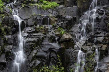 Pune India yakınlarındaki Tamhini 'de muson manzarası. Muson Haziran 'dan Eylül' e kadar Hindistan 'da yıllık yağmur mevsimidir..