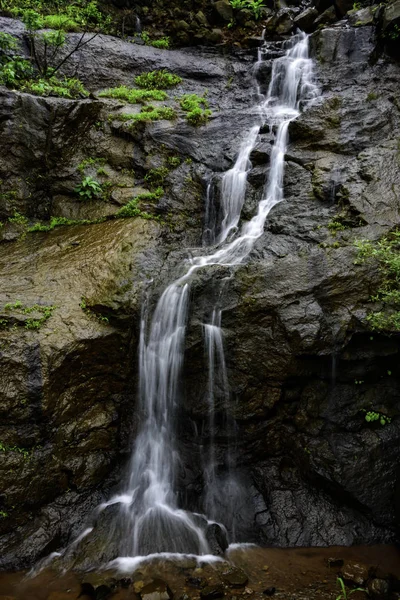 Monsoon Landscape Tamhini Pune India Monsoon Annual Rainy Season India — Stock Photo, Image