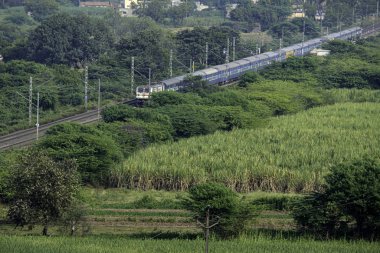 Pune Hindistan yakınlarındaki Uruli 'de elektrik lokomotifi tarafından çekilen yolcu treni..