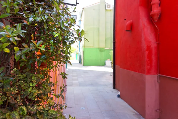 Burano island, venice, italia — Foto de Stock