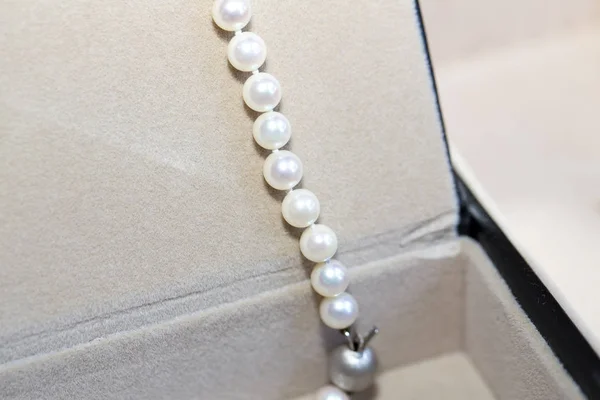 The Pearls necklace — Stock Photo, Image