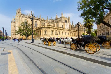 Sevilla 'daki Saint Mary Katedrali.